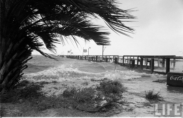 Hurricane Florence, 1953.